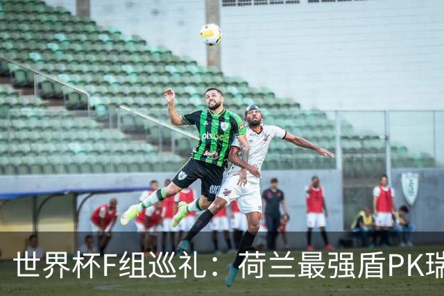 世界杯F组巡礼：荷兰最强盾PK瑞典犀利刀 日本短板明显