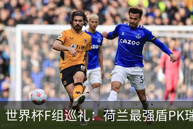 世界杯F组巡礼：荷兰最强盾PK瑞典犀利刀 日本短板明显