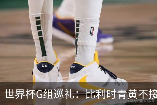 世界杯G组巡礼：比利时青黄不接 伊朗赴美参赛风波不断